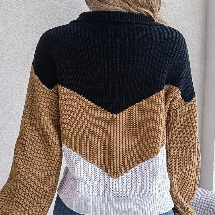 Maglione a righe color block nero, marrone e bianco, lavorato a maglia, indossato da una persona di spalle. Moda autunnale, stile casual.